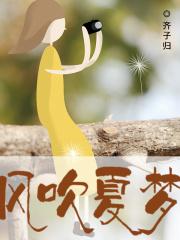 风吹一夏by
