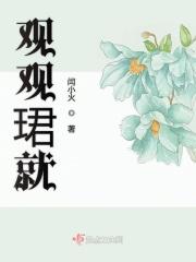 观君是什么意思