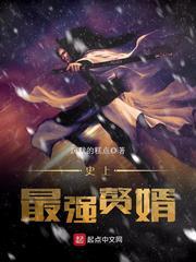 史上最强赘婿任盈盈的结局