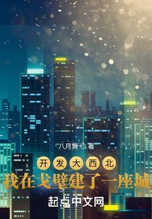 开发大西北打一数字