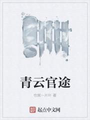 青云官路结局