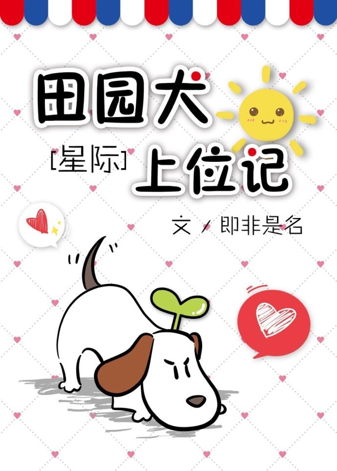 田园犬好不好