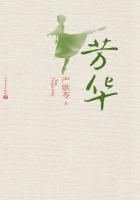 芳华慢歌词