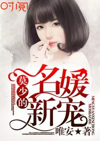 莫少的秘宠