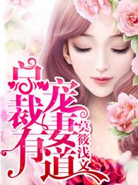 总裁宠妻有深度全文免费阅读