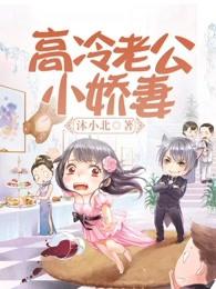 高冷老公惹不起免费阅读全文