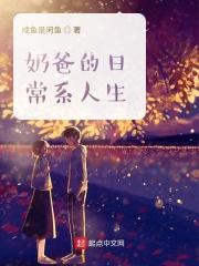 狐狸系统养