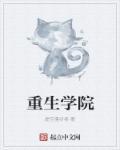 帝国崛起 攻略