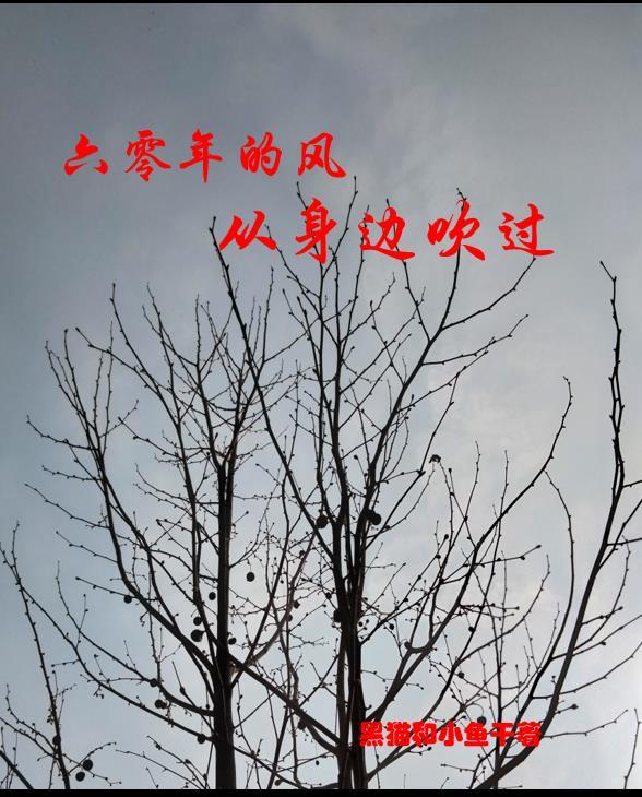 霸婿林浩笔趣阁